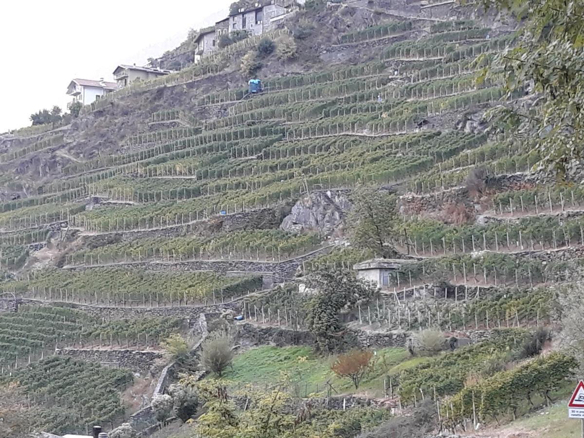 Il Vigneto Bed and Breakfast Castione Andevenno Buitenkant foto